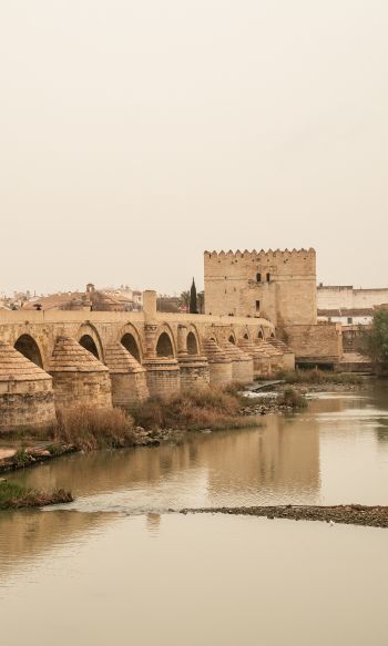 Roman bridge, Cordoba, Spain Wallpaper 1200x2000