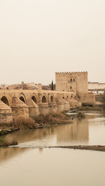 Roman bridge, Cordoba, Spain Wallpaper 640x1136