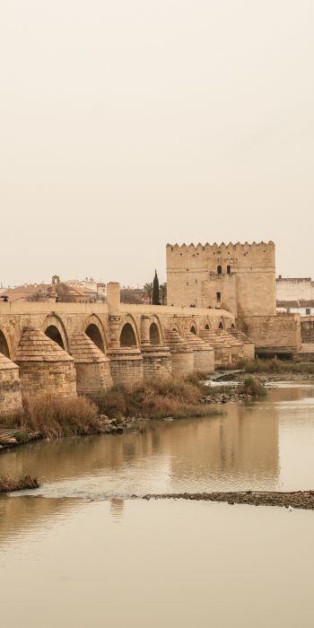 Roman bridge, Cordoba, Spain Wallpaper 720x1440