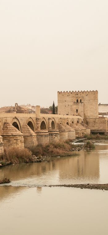 Roman bridge, Cordoba, Spain Wallpaper 1080x2340