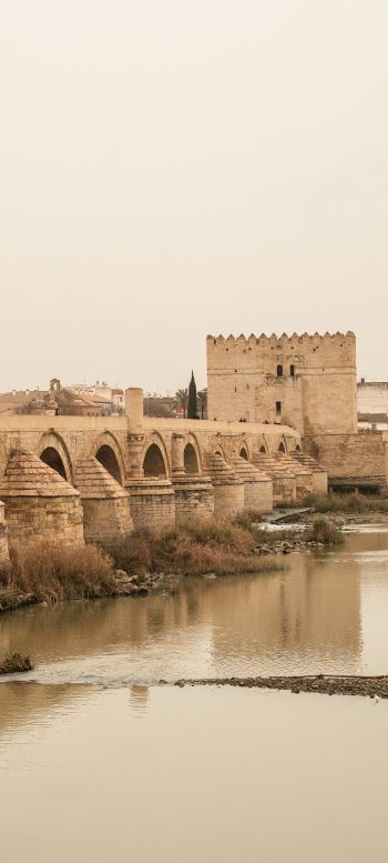 Roman bridge, Cordoba, Spain Wallpaper 1080x2400