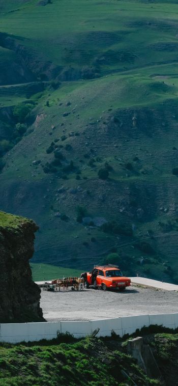 Fiagdon, Republic of North Ossetia-Alania, Russia Wallpaper 1080x2340