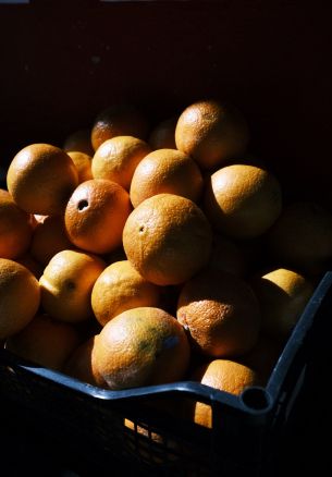 Обои 1640x2360 фрукты, апельсины