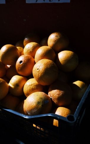 Обои 1200x1920 фрукты, апельсины