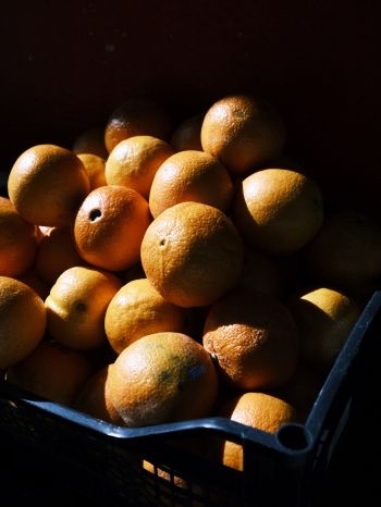 Обои 1620x2160 фрукты, апельсины