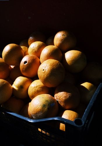 Обои 1668x2388 фрукты, апельсины