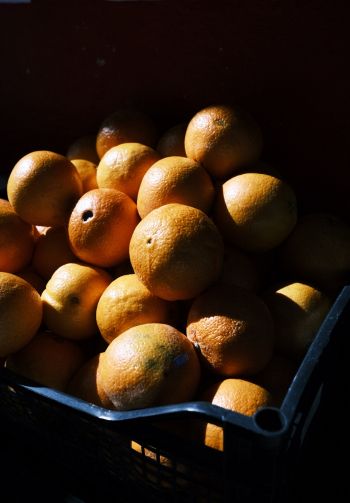 Обои 1640x2360 фрукты, апельсины
