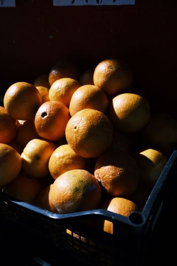 fruit, oranges Wallpaper 640x960