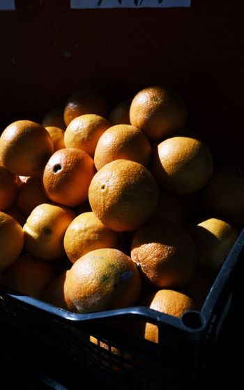 Обои 1600x2560 фрукты, апельсины