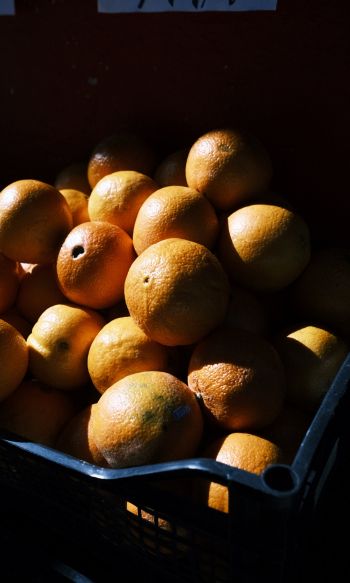Обои 1200x2000 фрукты, апельсины