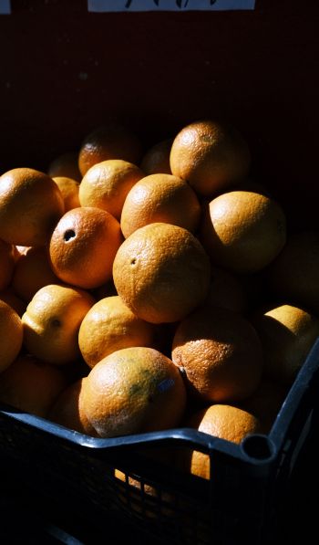 Обои 600x1024 фрукты, апельсины