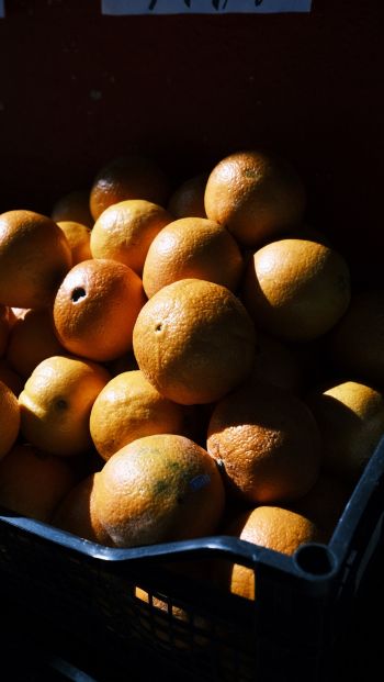 Обои 640x1136 фрукты, апельсины