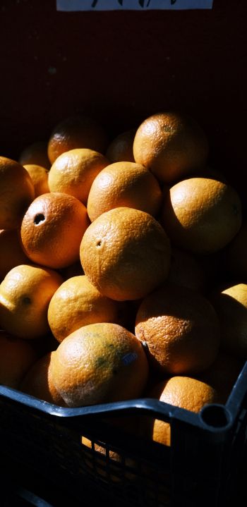Обои 1080x2220 фрукты, апельсины