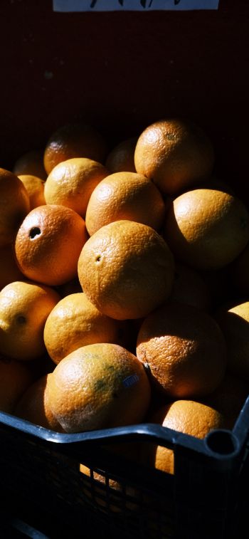 Обои 1170x2532 фрукты, апельсины