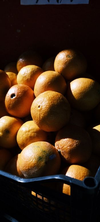 Обои 1080x2400 фрукты, апельсины
