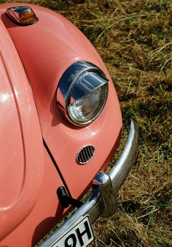 Обои 1668x2388 Розовый VW Beetle