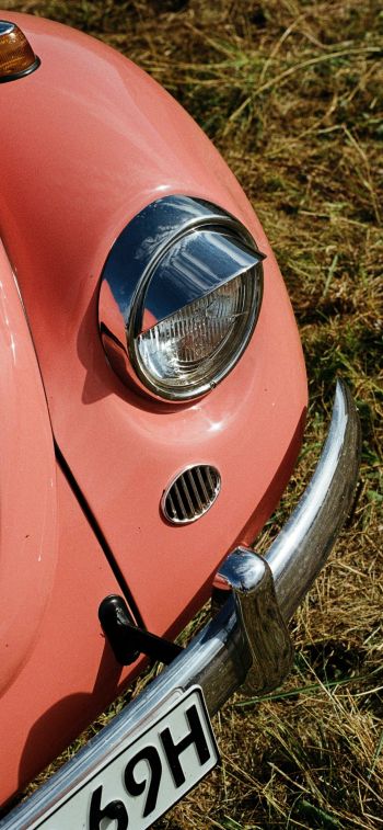 Обои 1170x2532 Розовый VW Beetle