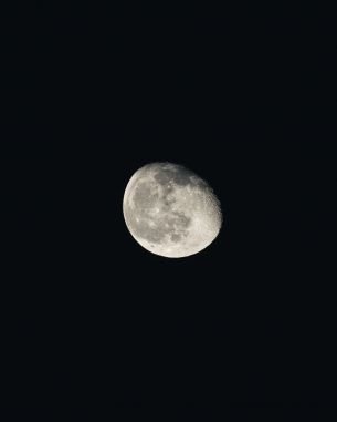 moon, night, black Wallpaper 2162x2703