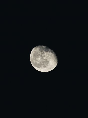 moon, night, black Wallpaper 1620x2160