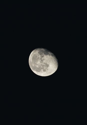 moon, night, black Wallpaper 1640x2360