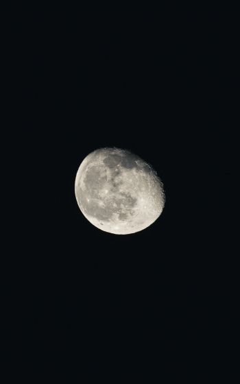 moon, night, black Wallpaper 1200x1920