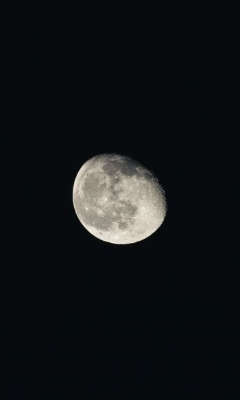 moon, night, black Wallpaper 1200x2000