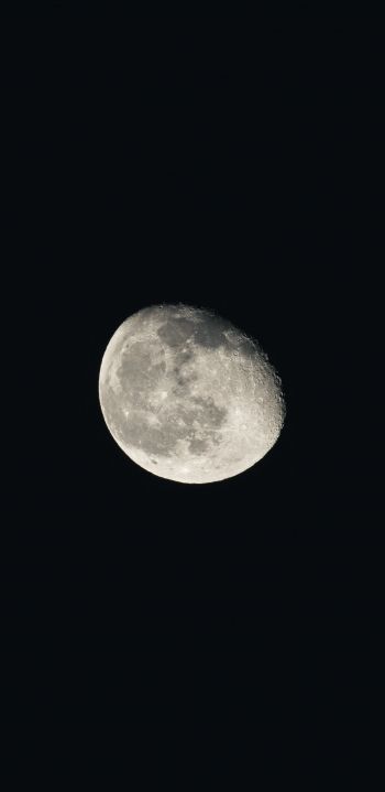 Обои 1080x2220 луна, ночь, черный