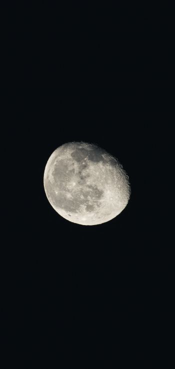 Обои 720x1520 луна, ночь, черный