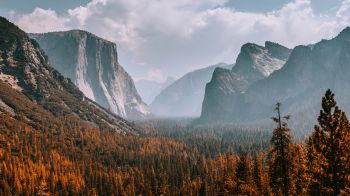 Yosemite National Park, California, USA Wallpaper 1280x720