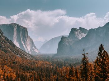 Yosemite National Park, California, USA Wallpaper 1024x768