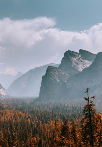 Yosemite National Park, California, USA Wallpaper 1640x2360