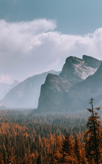 Yosemite National Park, California, USA Wallpaper 800x1280