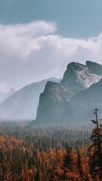 Yosemite National Park, California, USA Wallpaper 1080x1920