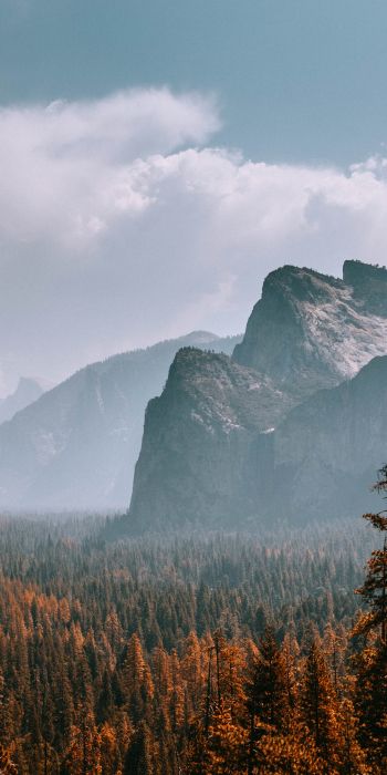 Yosemite National Park, California, USA Wallpaper 720x1440