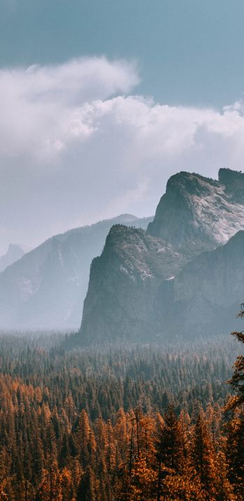 Yosemite National Park, California, USA Wallpaper 1440x2960