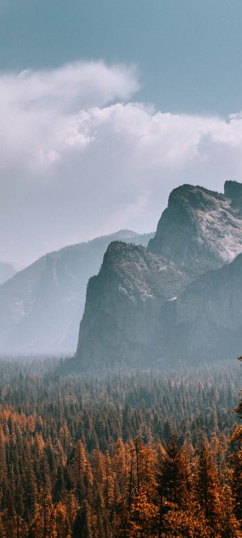Yosemite National Park, California, USA Wallpaper 1080x2400