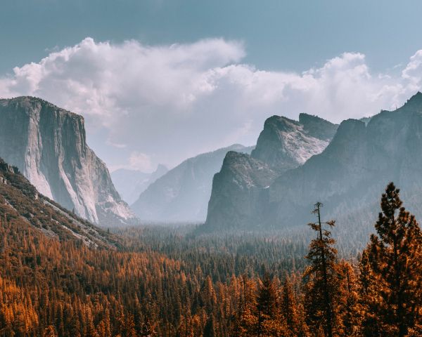 Yosemite National Park, California, USA Wallpaper 1280x1024