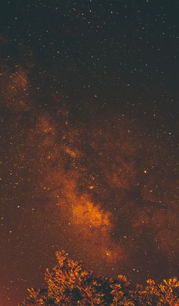 starry sky, stars, night Wallpaper 600x1024