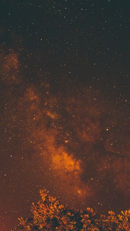 Обои 750x1334 звездное небо, звезды, ночь