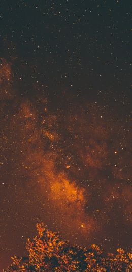 starry sky, stars, night Wallpaper 1080x2220