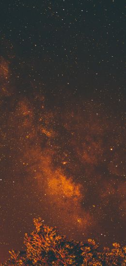 starry sky, stars, night Wallpaper 1440x3040