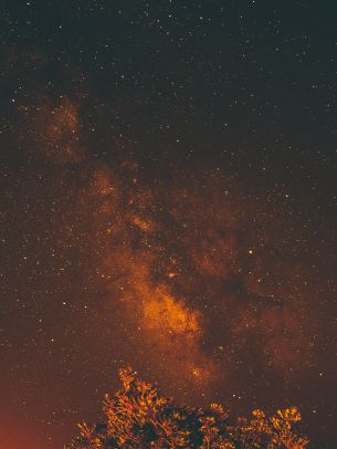 starry sky, stars, night Wallpaper 1620x2160