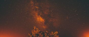 starry sky, stars, night Wallpaper 3440x1440