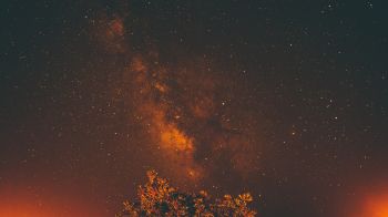 starry sky, stars, night Wallpaper 1600x900