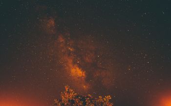 starry sky, stars, night Wallpaper 2560x1600