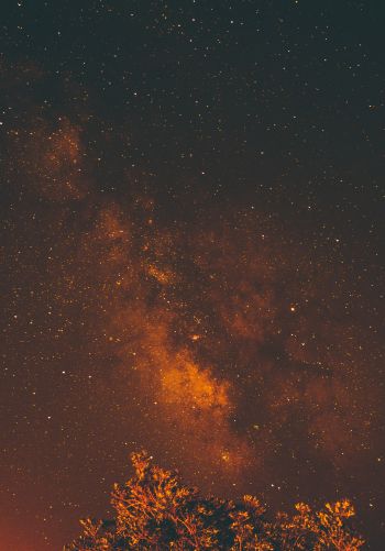 starry sky, stars, night Wallpaper 1668x2388