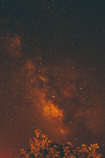 starry sky, stars, night Wallpaper 640x960