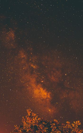 starry sky, stars, night Wallpaper 800x1280