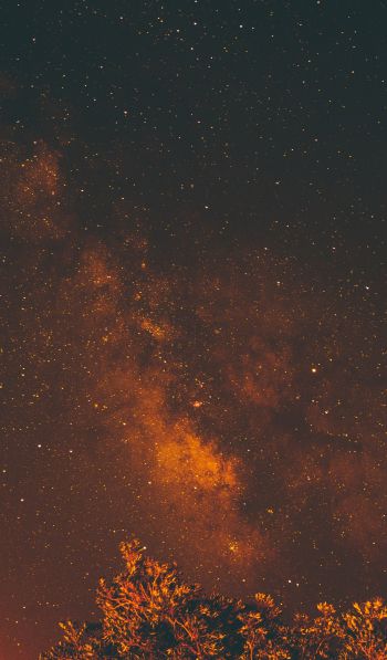 starry sky, stars, night Wallpaper 600x1024