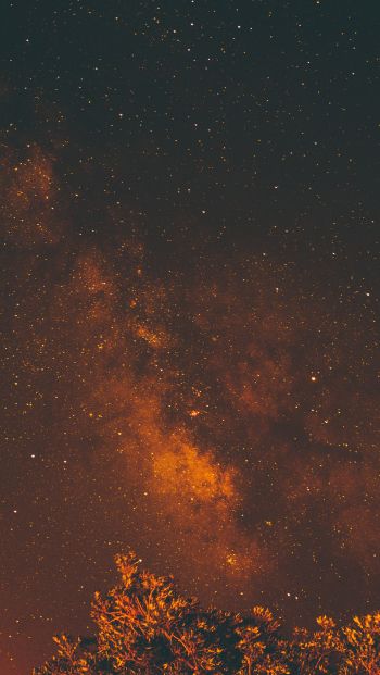 starry sky, stars, night Wallpaper 640x1136